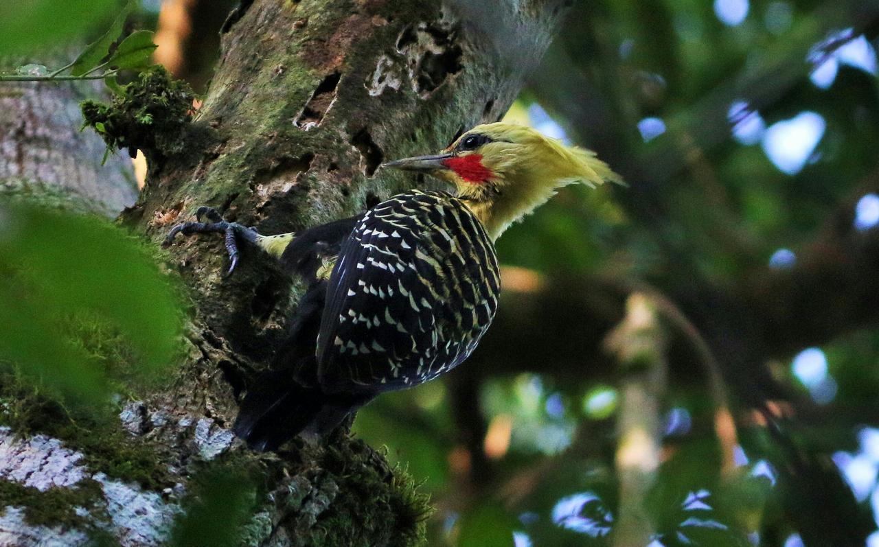 Yacutinga Lodge Puerto Iguazú Dış mekan fotoğraf